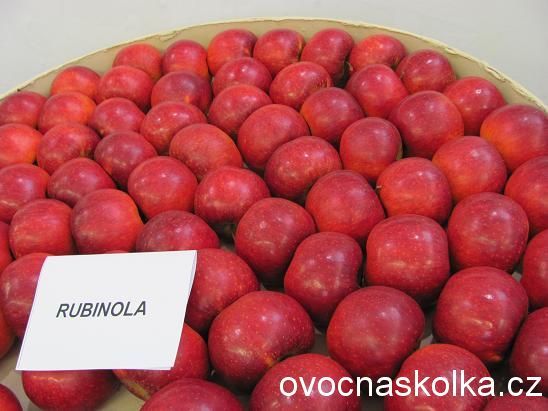 jabloň Rubinola 