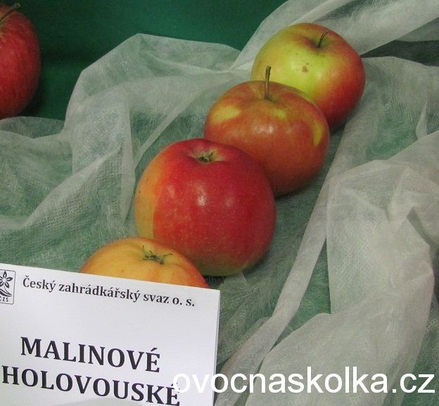 jabloň Malinové holovouské vyšší tvar